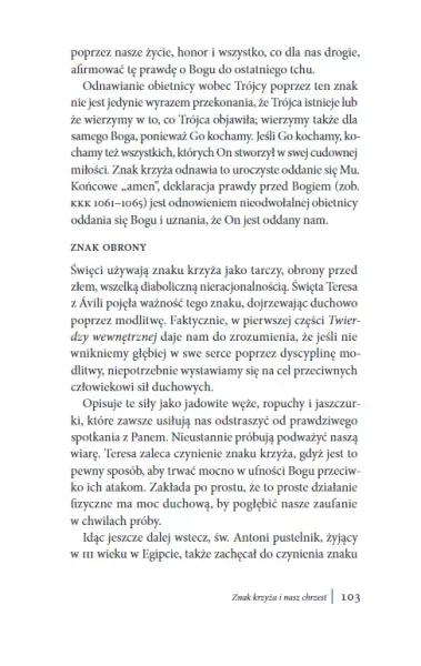 Ogień z nieba. Dar kontemplacji zdjęcie 13