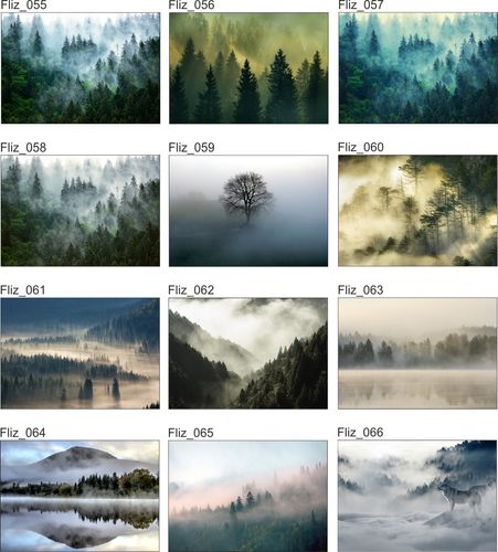 FOTOTAPETA FLIZ Las we Mgle widok góry 3D 350x245 na Arena.pl