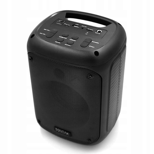 Głośnik karaoke SQUEAK Beatflow Bluetooth 5.0 + EDR na Arena.pl
