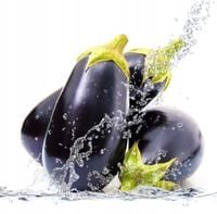 FOTOTAPETA kuchenna BAKŁAŻAN KROPLE WODY 395x280