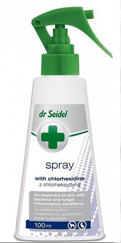 Dr Seidel Spray Z Chlorheksydyną 100ml na Arena.pl