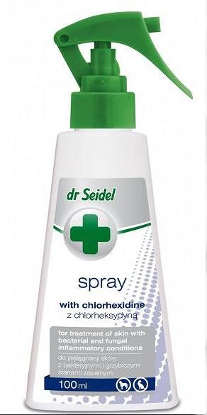 Dr Seidel Spray Z Chlorheksydyną 100ml zdjęcie 2