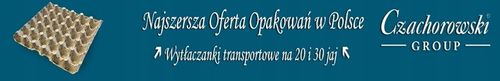 Białe Opakowanie na 10 Jaj IMA- 50szt na Arena.pl