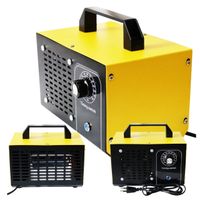 Generator ozonu 60g/h Oczyszczacz powietrza z czasomierzem do 60 minut