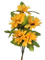 bukiet 2szt. słonecznik 12-gałązek