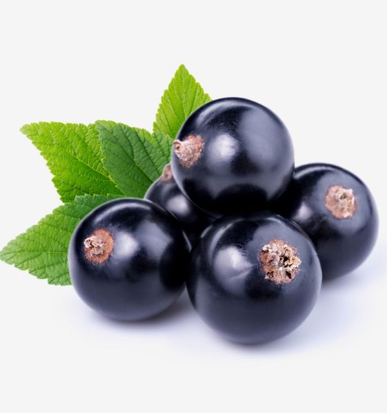 Yodeyma Miseho Woda Perfumowana Dla Kobiet 100ml zdjęcie 3