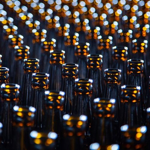 OLEJ Z CZARNUSZKI TŁOCZONY NA ZIMNO 500ml na Arena.pl