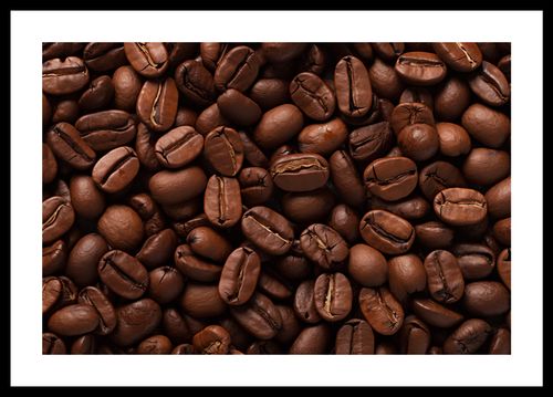 Plakat 45x30cm Esencja Aromatu na Arena.pl