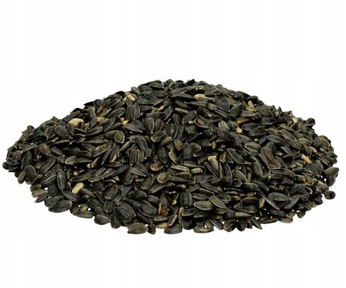 CZARNY SŁONECZNIK ZIARNO POKARM DLA PTAKÓW 5KG ZDROWY I POŻYWNY NA ZIMĘ na Arena.pl