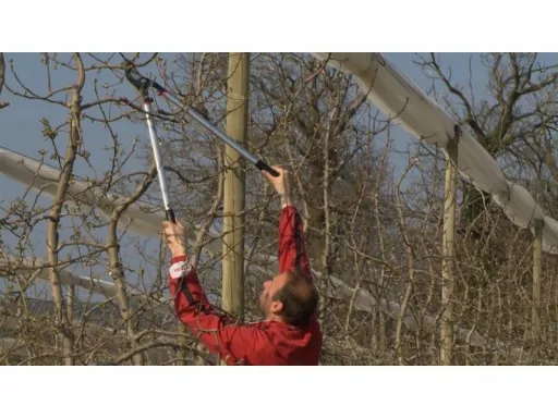 sekator do gałęzi 800mm Bahco P280-SL-80 zdjęcie 8