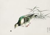 Plakat 100x70cm Turtle Dove, Kashu Japoński Vintage do Salonu