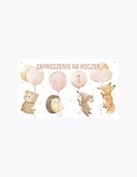 zaproszenie baloniki 160x95 zestaw 60085 a'10
