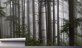 Fototapeta PNIE DRZEW LAS WIDOK LEŚNY 200x130