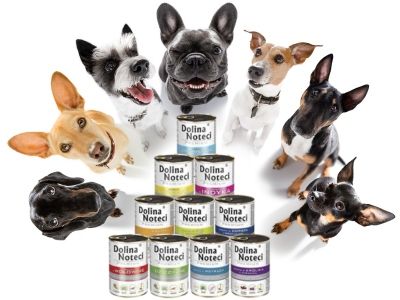 Dolina Noteci Premium Mix smaków 10x 800g na Arena.pl