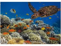 OBRAZ DRUK PODWODNA NATURA