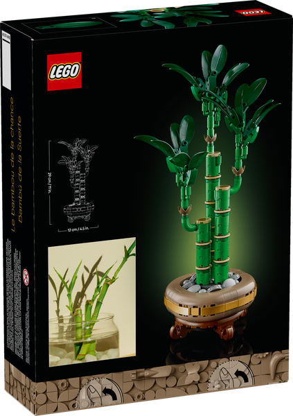 LEGO Botanical Collection Dracena sandera w doniczce 10344 zdjęcie 2