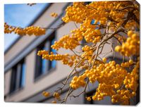 Obraz 90x70cm Złote Jagody