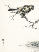 Plakat 60x80cm Brambling, Kashu Japoński Vintage do Salonu