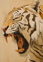 Plakat 70x100cm Majestatyczny Ryk Tygrysa