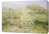 product-compare-59587443