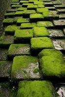 Plakat 20x30cm Zielona Mozaika