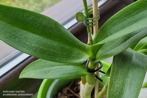 SPINKI DO STORCZYKÓW klipsy do podpór - 100szt. na Arena.pl