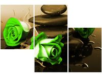 product-compare-58699176