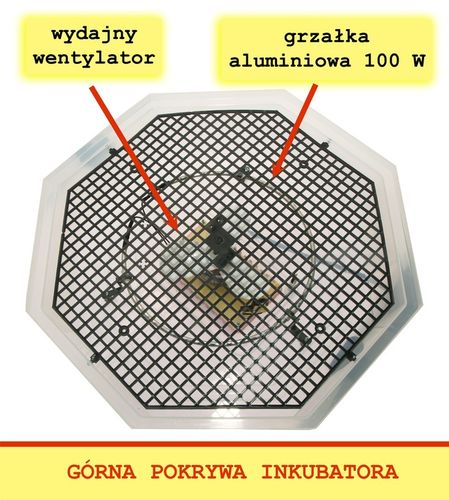 Inkubator wylęgarka na 60 jaj półautomat klujnik na Arena.pl