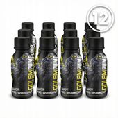 NUTRITION22 GOLEM PUMP MAX SIŁA WYTRZYMAŁOŚĆ PRZEDTRENINGÓWKA SHOT