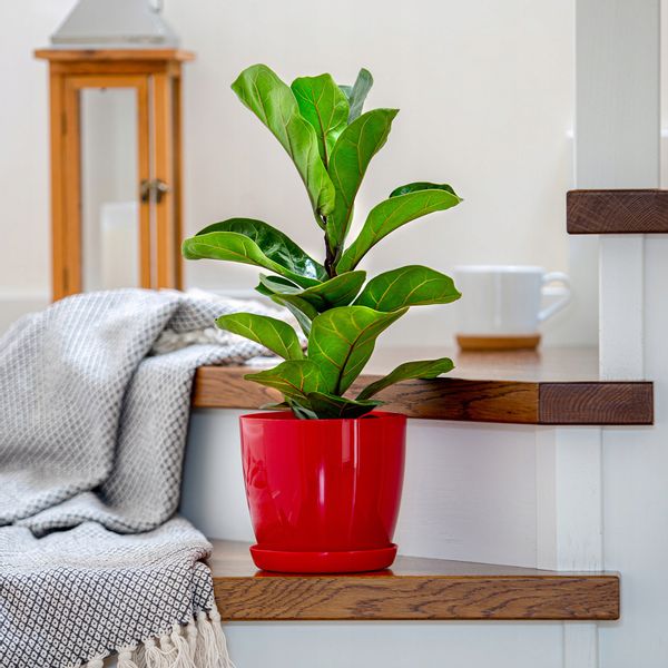 DONICZKA OSŁONKA Z PODSTAWKĄ DONICA KOLORY 18cm zdjęcie 2