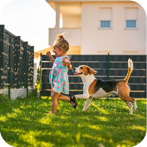 NAWÓZ DO TRAWY FLOROVIT MISTRZOWSKI TRAWNIK do trawy z mchem 10kg na Arena.pl