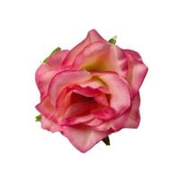 Różyczka wyr. mini kiss 24 szt