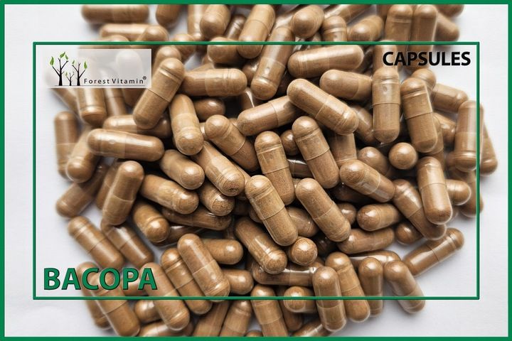 BACOPA MONNIERI BRAHMI 500mg PAMIĘĆ BAKOPA 120 k zdjęcie 8