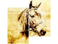 60X60CM GŁOWA KONIA DWU OBRAZ ŚCIAN