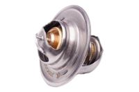 Termostat do AUDI NISSAN SEAT SKODA VW