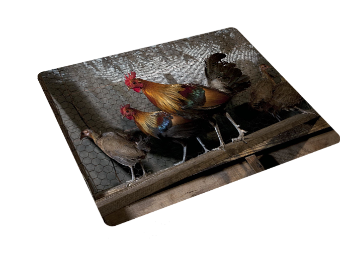 Podkładka pod myszkę Kury zdjęcie 3