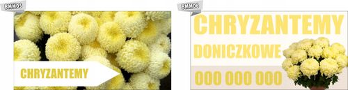 BANER CHRYZANTEMA CREAMIST reklamy na płot plandek na Arena.pl