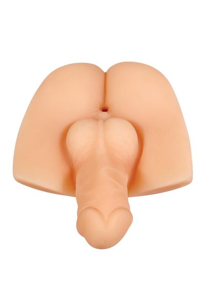 masturbator backdoor bash light gender x zdjęcie 2