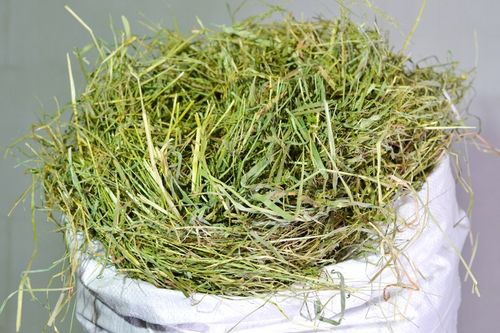 Siano , Sianko, 5kg dla gryzoni ,zwierząt domowych i hodowlanych na Arena.pl