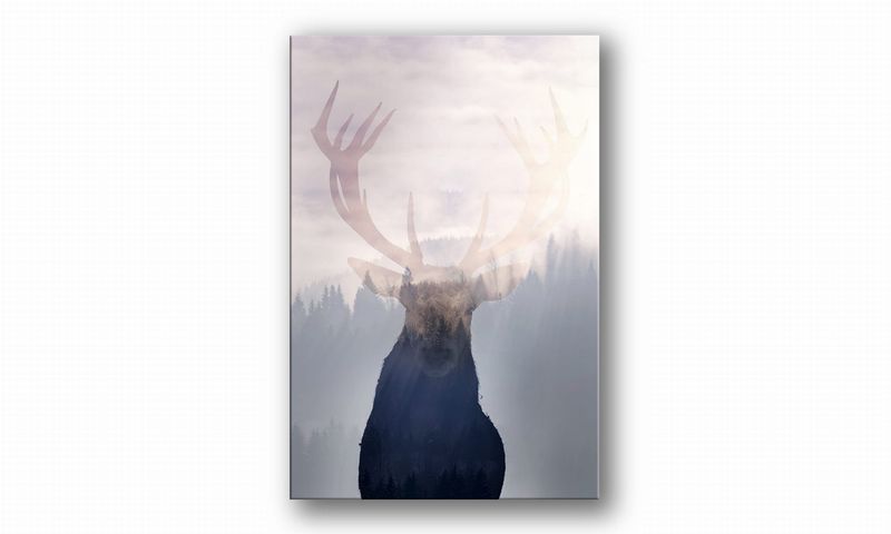 OBRAZ NA PŁÓTNIE 047 Jeleń na tle lasu 60x90cm zdjęcie 2