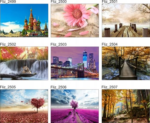 FOTOTAPETA CYTRUSY GREJPFRUTY CYTRYNY LIMONKI na Arena.pl