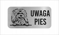 GRAWER Tabliczka nierdzewna 20x10 UWAGA PIES Coton de Tuléar