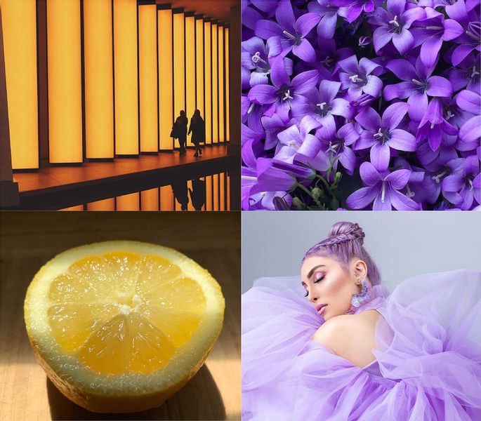 Milton Lloyd New York Dolls Night Perfum Toaletowy Dla Kobiet 55ml zdjęcie 3