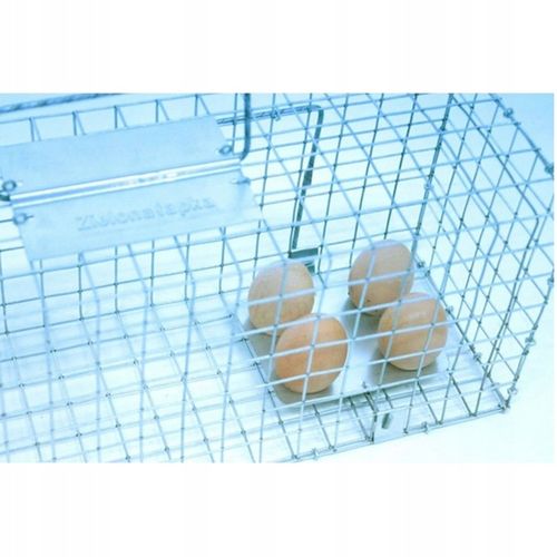 Pułapka łapka klatka na kuny łasice łaski szczury na Arena.pl