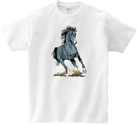 Koszulka T-shirt Konie