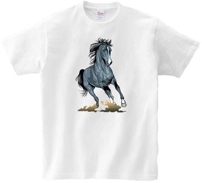 Koszulka T-shirt Konie zdjęcie 1