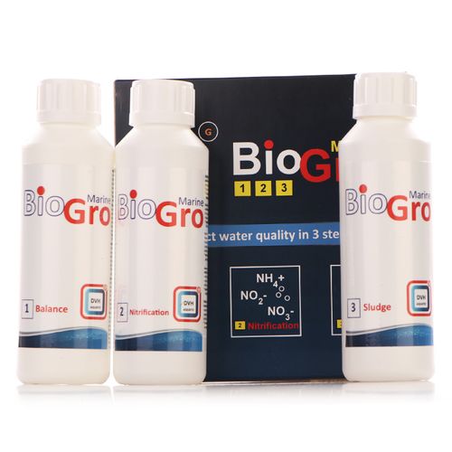 DVH BioGro 3x250ml - bakterie na Arena.pl