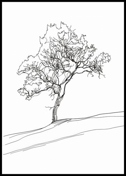 Plakat 64x90cm Drzewo w Zarysie zdjęcie 2