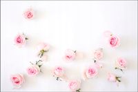 Tło FLAT LAY do fotografii produktowej kulinarnej