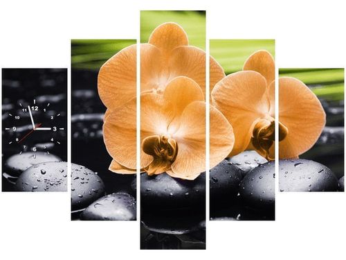 105CM 150CM ZEGAR 5 ELEM STORCZYK POMARAŃCZOWY DRUK OBRAZ na Arena.pl